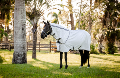 Nouveautés HORSEWARE